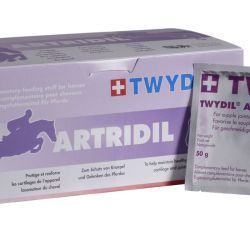 TWYDIL ARTRIDIL 30 SACHETS