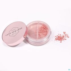 Cent Pur Cent Losse Minerale Blush Prune 7g