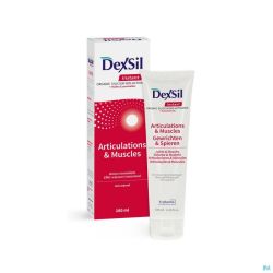 Dexsil Instant Articulations & Muscles Gel 100 Ml