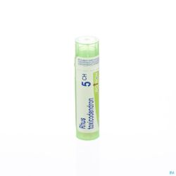 Rhus Toxicodendron 5Ch Gr 4G Boiron