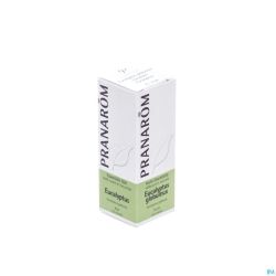 Eucalyptus Globulus Ess Olie 10ml Pranarom