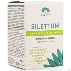 Silettum Gel 60