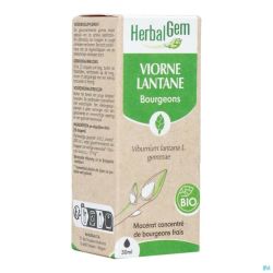 Herbalgem Viorne Bio 30ml