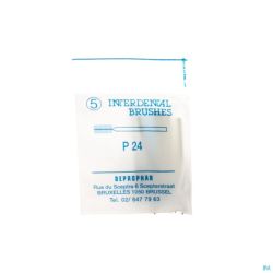 Proximal Brosse A/Manche Cylindrique Large 5 P24