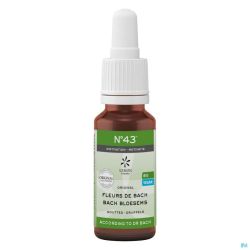 Fleurs de Bach Bio N°43 Gouttes Motivation 20ml