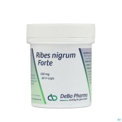 Ribes Nigrum V-caps 60 Deba