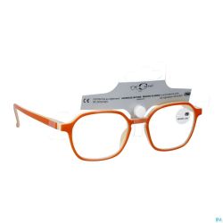 Cartel Loupe Lecture Divine 1.5 Asie