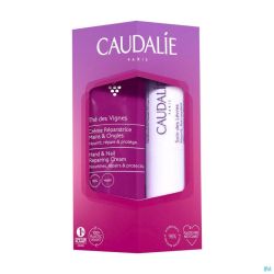 Caudalie duo liphand the vignes 4,5g+30ml