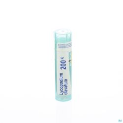 Lycopodium Clavatum 200k Gr 4g Boiron