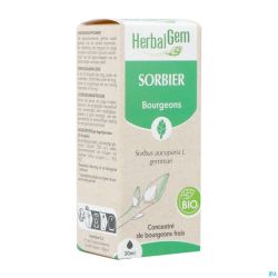 Herbalgem Lijsterbes Bio 30ml
