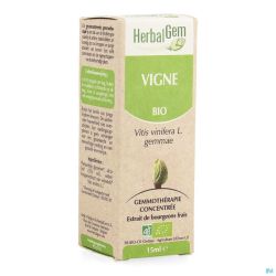 Herbalgem Wijnstok Maceraat 15ml