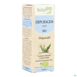 Herbalgem Depuragem Complex Bio 15Ml