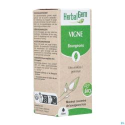 Herbalgem Wijnstok Maceraat Bio 30ml