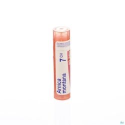 Arnica Montana 7ch Gr 4g Boiron