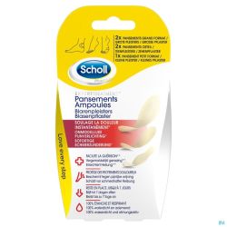 Scholl Pans Ampoule 2grand+2orteil+1petit S/latex