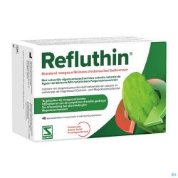 Refluthin Fruit Comp A Croquer 48