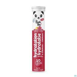 Panda Tea Hydratation Citroen&hibiscus Bruistabl20