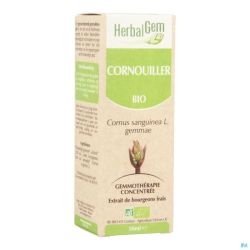 Herbalgem Cornouiller Macerat 50ml