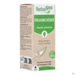 Herbalgem Frambozenstruik Bio 30ml