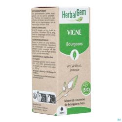 Herbalgem Wijnstok Maceraat Bio 30ml