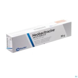 Neobacitracine Nf Pomm. Derm. 20 G