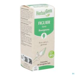 Herbalgem Figuier Bio Spray 15ml