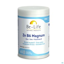 Zn B6 Magnum Minerals Be Life Gel 60