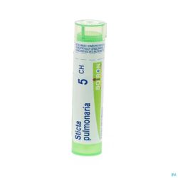 Sticta Pulmonaria 5ch Gr 4g Boiron