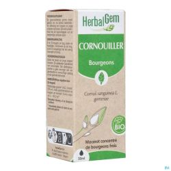 Herbalgem Kornoelje Bio 30ml