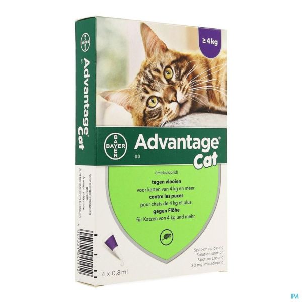 Advantage 80 Chats >4Kg 4X0,8Ml