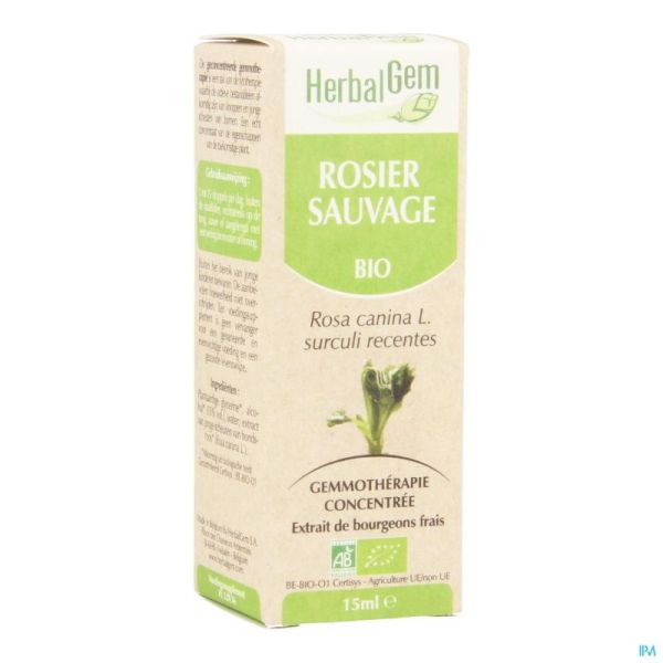 Herbalgem Rosier Sauvage Macerat 15Ml