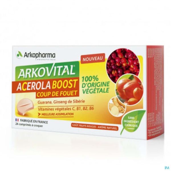 Arkovital Acerola Boost Comp Croq. 24