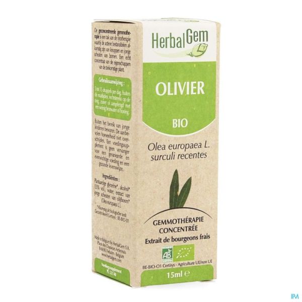 Herbalgem olivier macerat 15ml