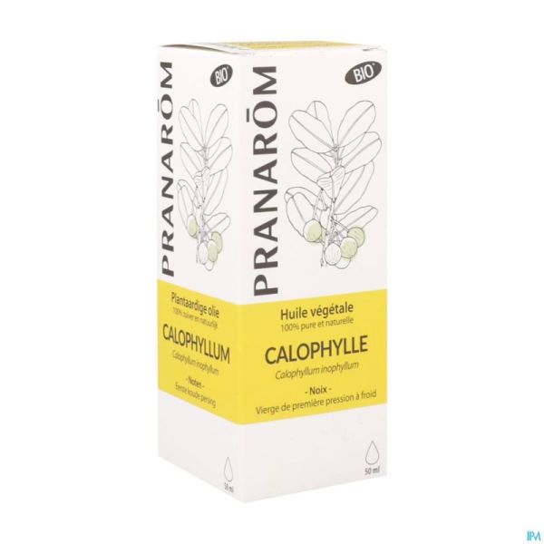 Calophylle Bio Hle Veg. 50Ml Pranarom