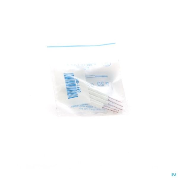 Proximal Brosse A/Manche Cylindrique Small 5 P20