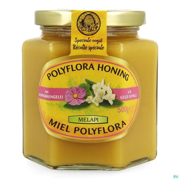 Melapi Polyflora+Gelee Royale 500G 5534 Revogan