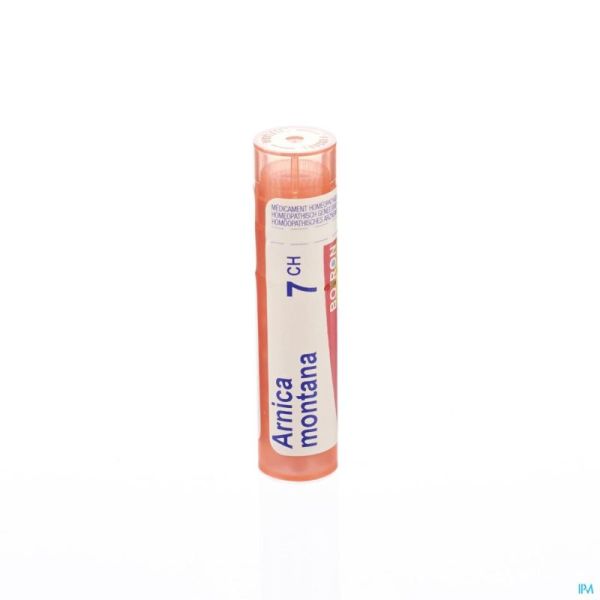 Arnica Montana 7ch Gr 4g Boiron